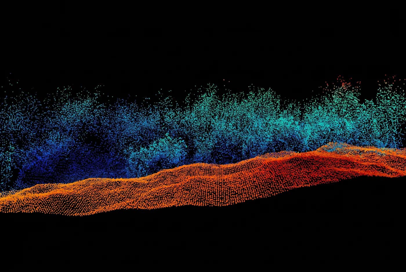 A LiDAR point cloud showing ground beneath vegetation