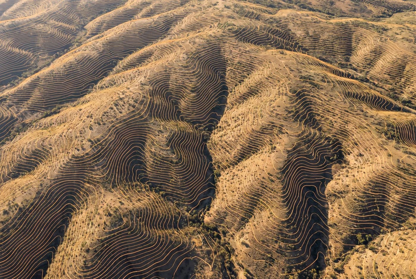 Contours generated from an aerial survey overlaid on the terrain